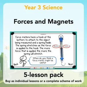 Forces and Magnets