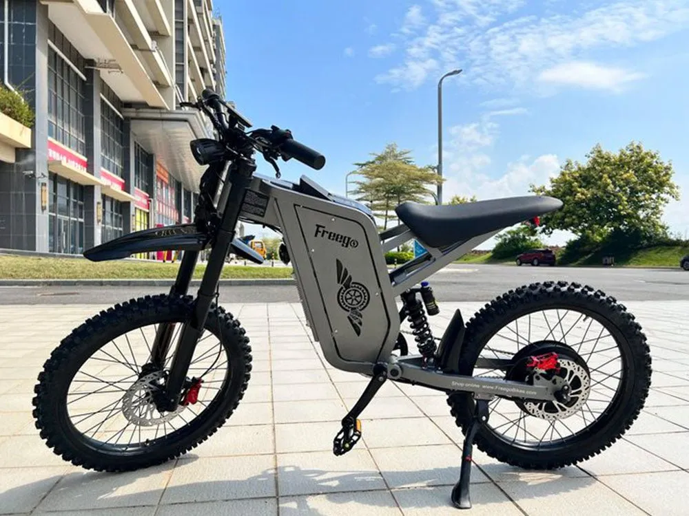 Freego X2 Pro All-terrain Mountain Off-road Motorcycle