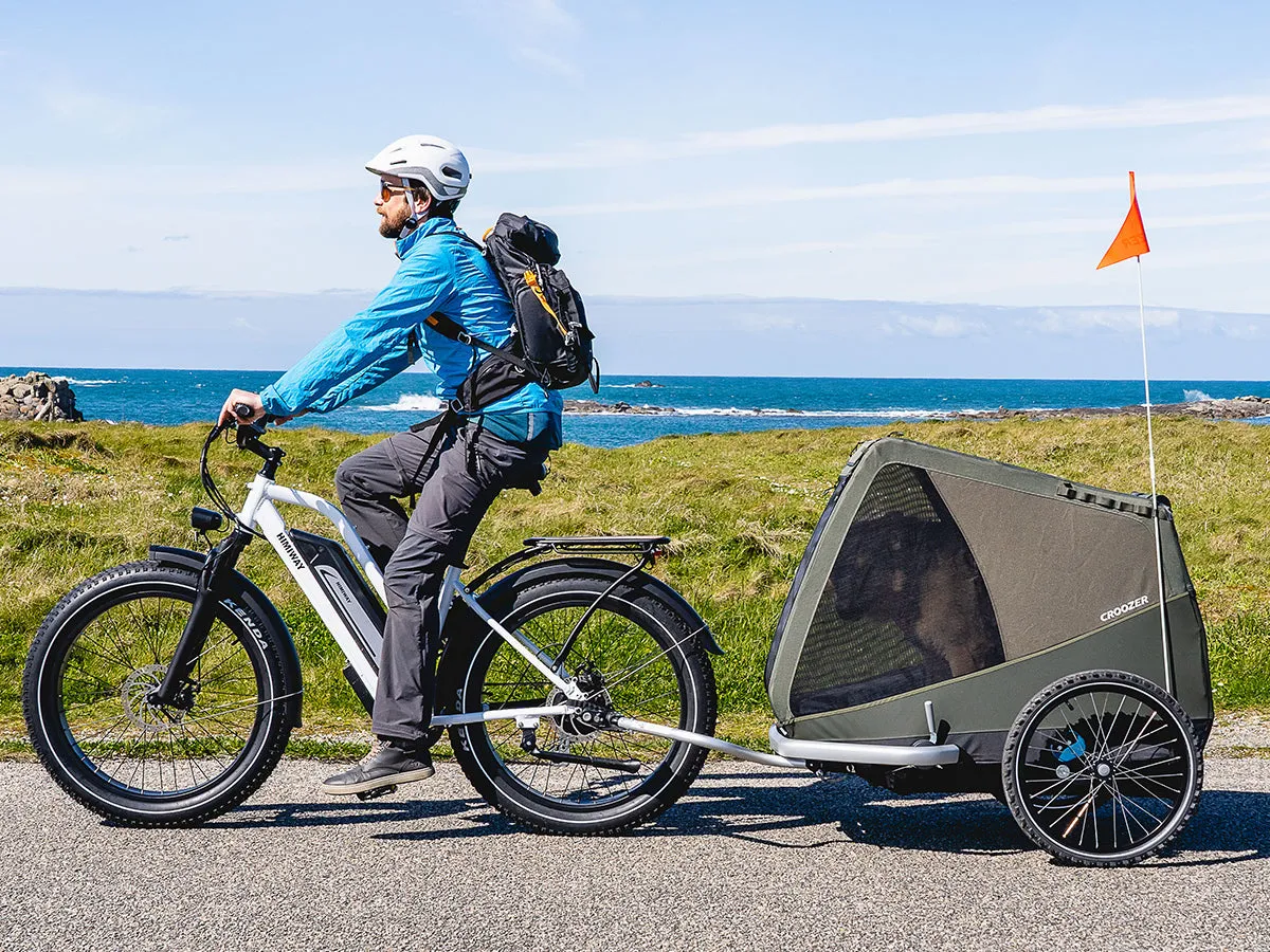 Himiway D3 ST (Cruiser ST) | All Terrain Step Thru Electric Bike