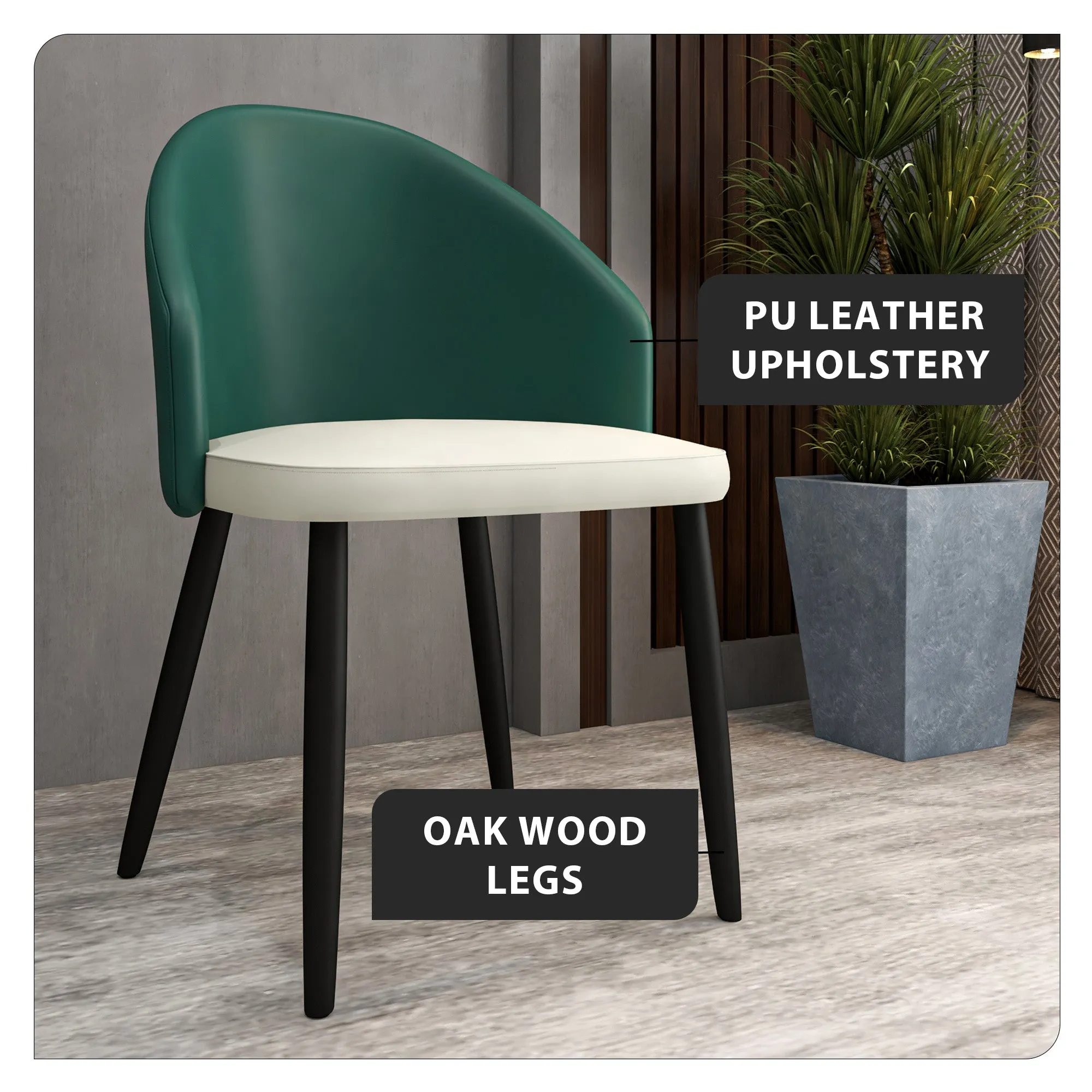 Paradiso Dining Chairs Leather Seat and Curved Back with Oak Wood Legs Set of 2