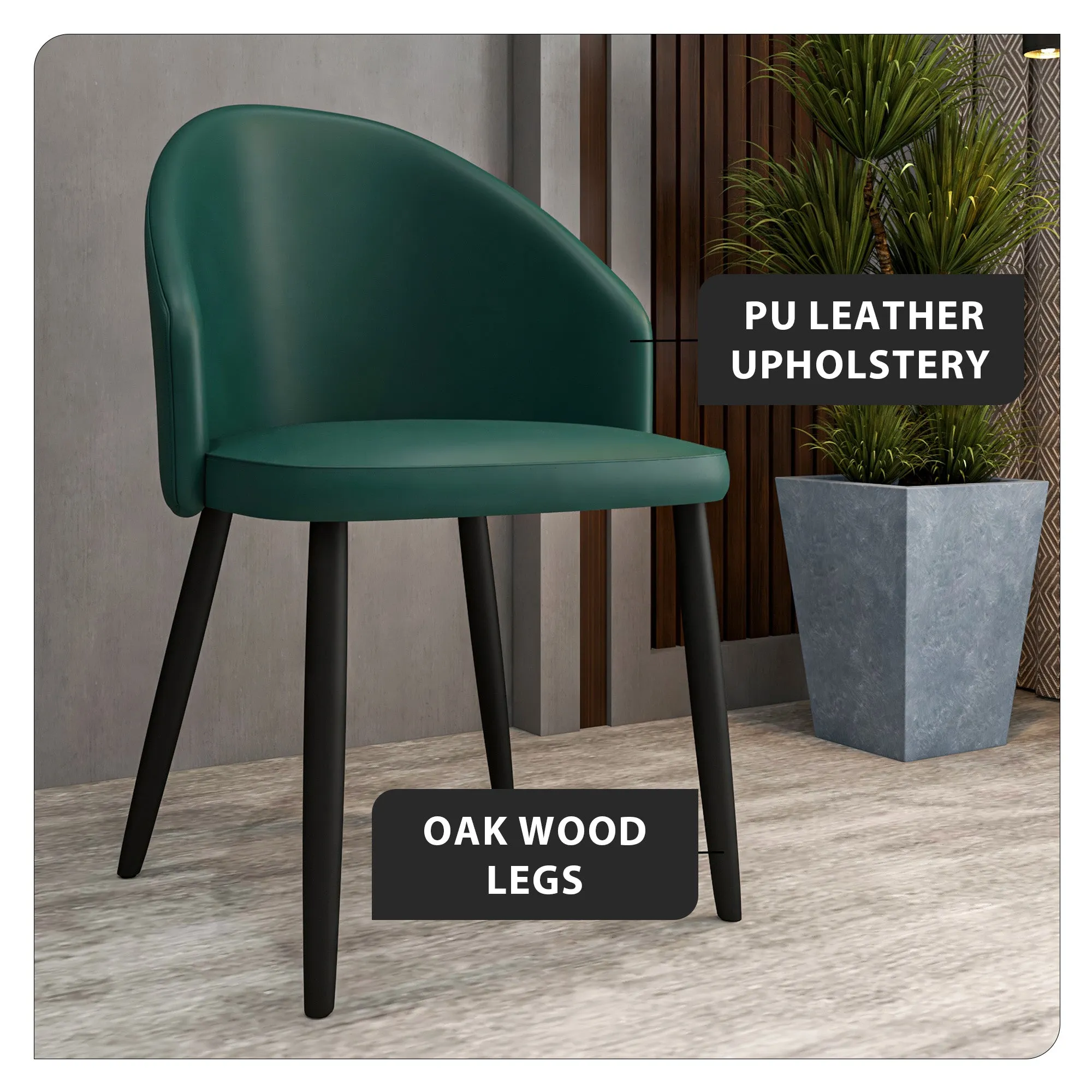 Paradiso Dining Chairs Leather Seat and Curved Back with Oak Wood Legs Set of 2